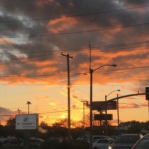 Meet your Posher, Elise